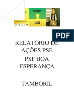 Relatório de Ações Pse