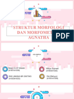 Struktur Morfologi dan Morfometrik Agnatha