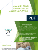 ADN COMO HERRAMIENTA DE ANALISIS GENETICO (Clase 1)