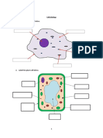 Cell - Biology - Diagram Worksheet