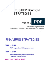 RNA Virus Replication Strategies