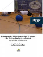 Prevencion y Readaptacion de La Lesion Del Biceps Femoral en Futbol