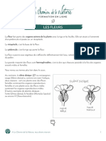 Formation Du Cueilleur - Lanatomie Des Plantes - Les Fleurs - Print