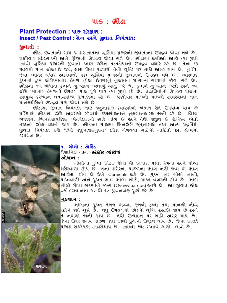 Baimda Plant Protection PDF Nature