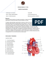 Relatório Da Atividade Prática: "Dissecação Do Coração de Um Mamífero".
