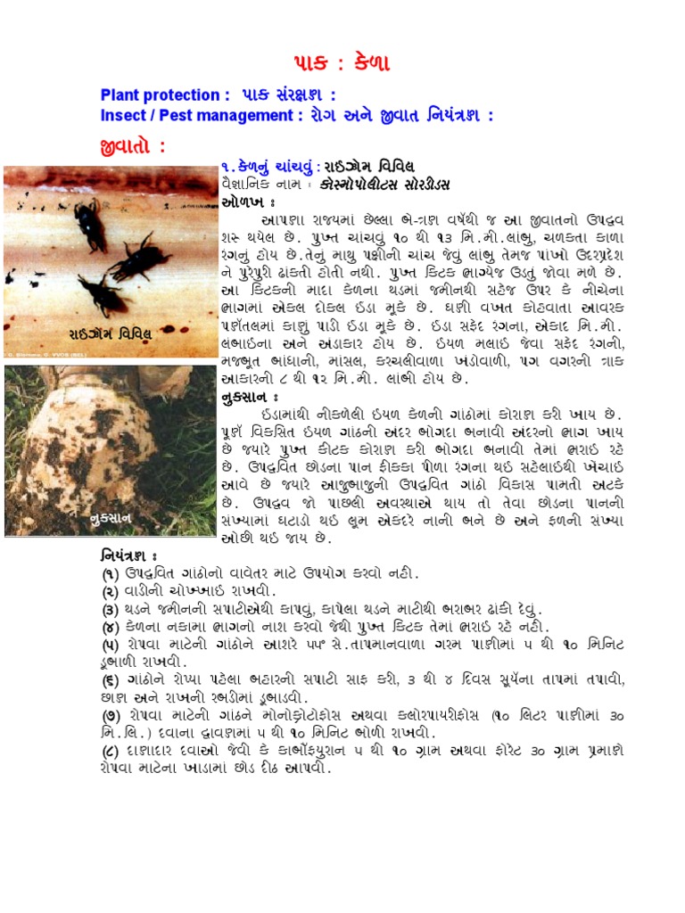 Plant Protection PDF Nature