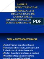 Familia Enterobacteriaceae-36556