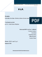 PIP_-de-revizuit