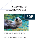 Assignment No: 04 Subject: TRW Lab: Name:Ijaz Ahmad Khan REG No:856/BSME/FET/F19 (A)