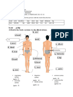 Body parts and systems labeling exercise