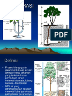 Transpirasi Tanaman