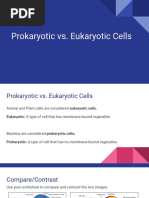 Prokaryotic vs Eukaryotic Cells Table | PDF | Cell (Biology) | Eukaryotes