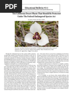 Download Ten California Desert Plants That Should Be Protected  Under The Federal Endangered Species Act by chris-clarke-5915 SN49882138 doc pdf