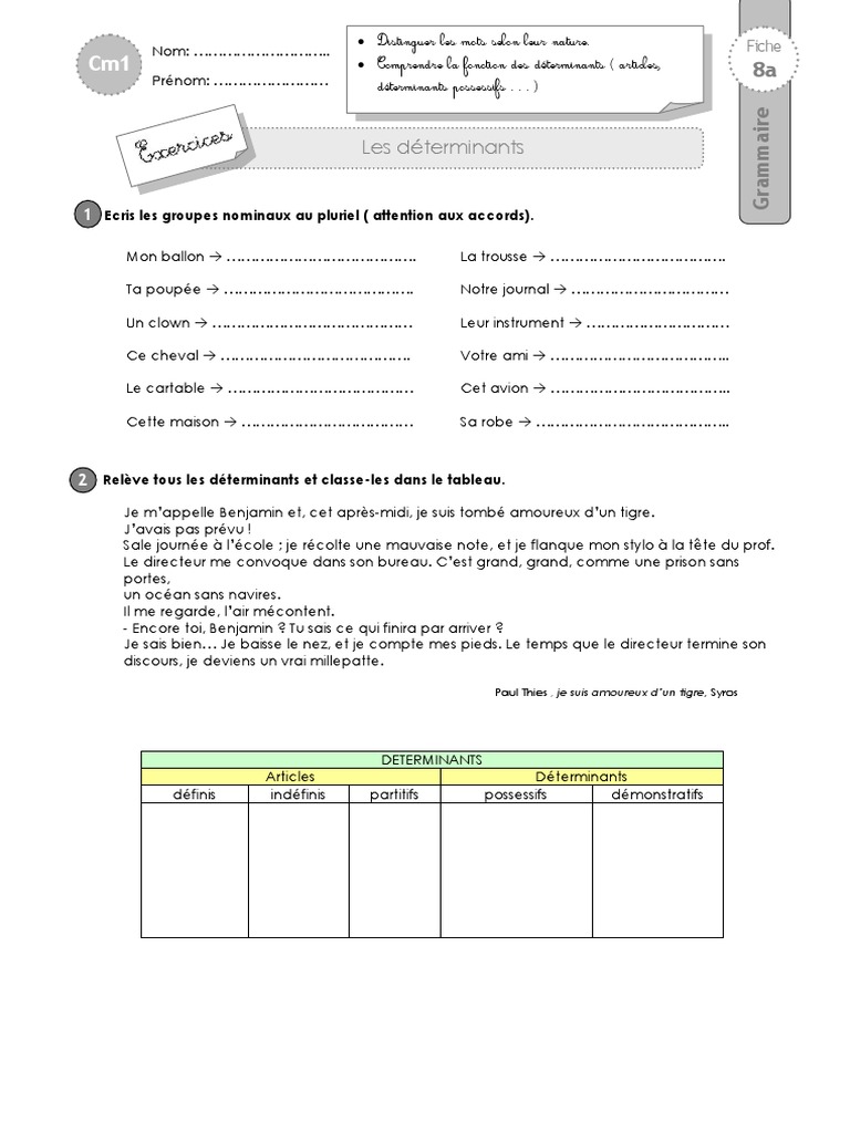 Exercice Sur Les Déterminants Cm2 cm1 Exercices Determinants | PDF