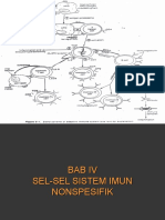 4 Bab Iv. Sel-Sel Imun Non Spesifik