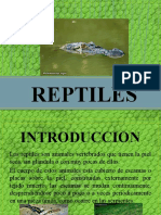 Reptiles