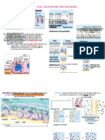 Cell Transport Mechanisms: Models of Plasma Membrane Structure