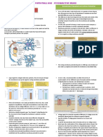 Membrane Potential and Action Potential