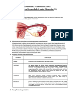 LKPD 3 Sistem Reproduksi Pada Manusia