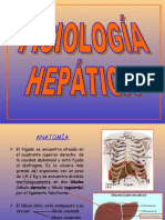 Fisiología-Hepática (1)