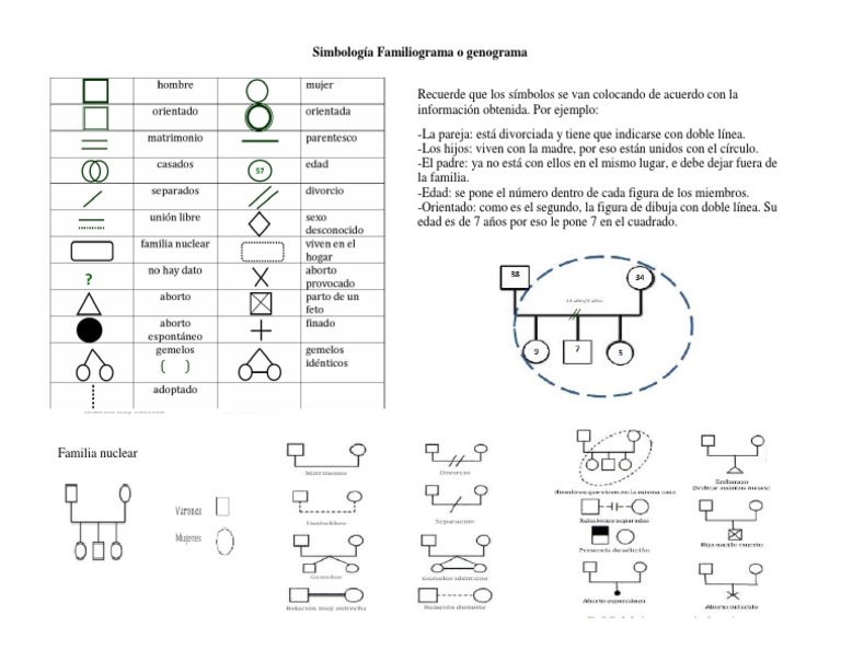 Simbología Familiograma Pdf : XIII anexo FAmiliograma.indd – SCLH
