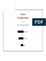 Example Financial Due Diligence Report Redacted