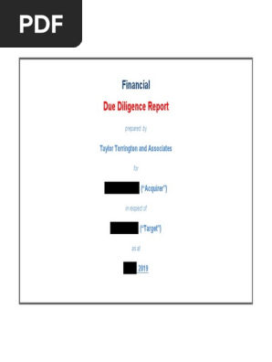 Example-Financial-Due-Diligence-Report-Redacted