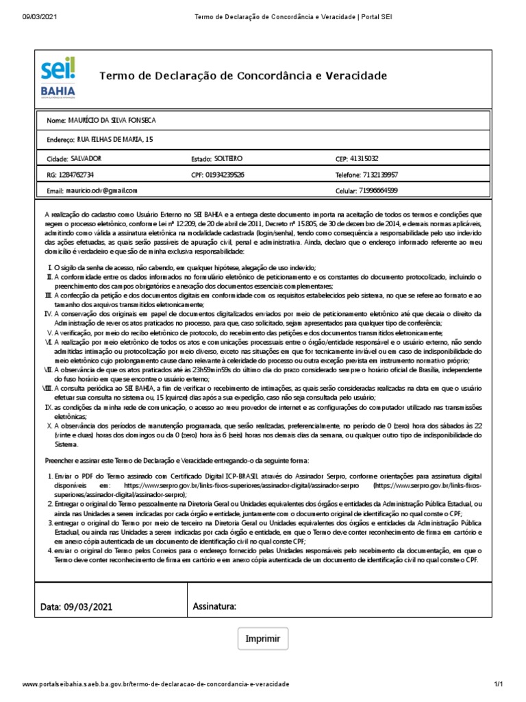 Termo de Declaração de Concordância e Veracidade - Portal SEI | PDF ...