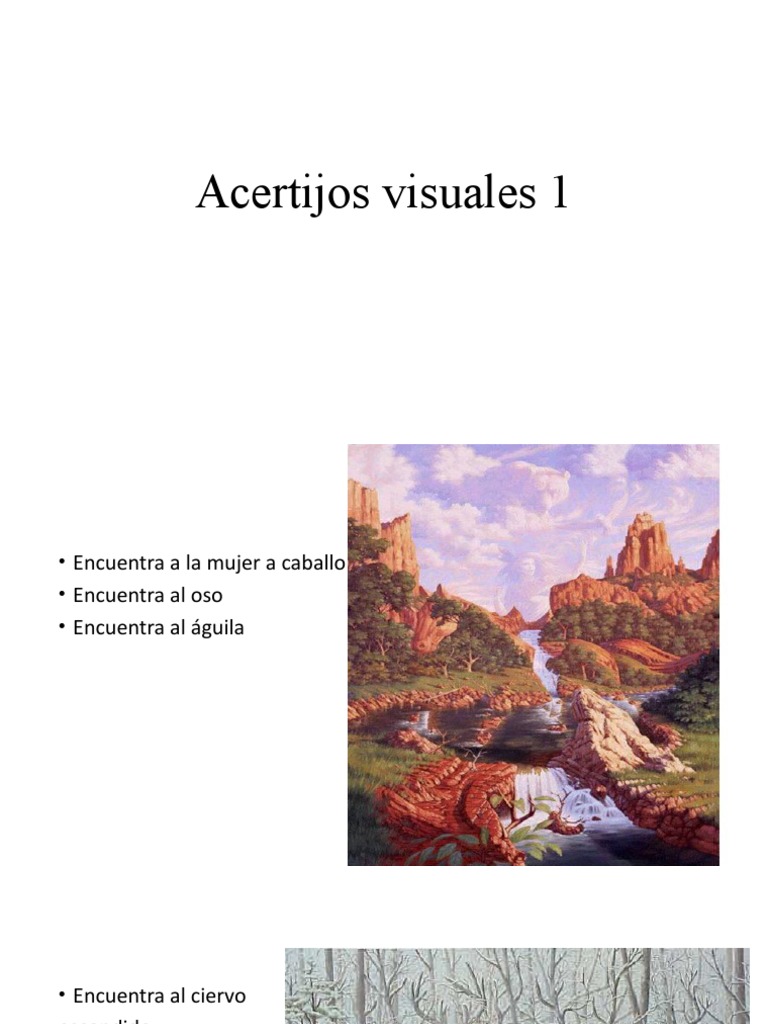 Acertijos Visuales 1 | PDF