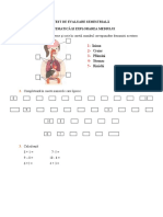 3 Test de Evaluare Semestriala