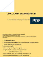 Biologie Circulatia Animale Clasa A Xa