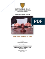 Vias de Ejecucion General PDF