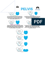 Tipos de Pelvis