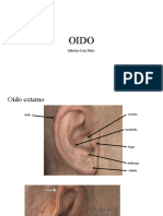 Anatomia Del Oído