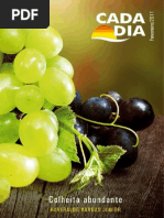 CadaDia_Fev2011