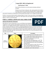 BIOL 1000 Ex05 (Cells) Handout - F20