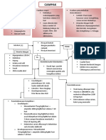 Clinical Pathway Campak