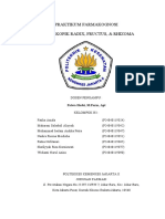 (KEL B1) Laporan Praktikum Farmakognosi Makroskopik Folium Dan Rhizoma