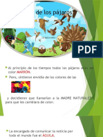 El Color de Los Pájaros