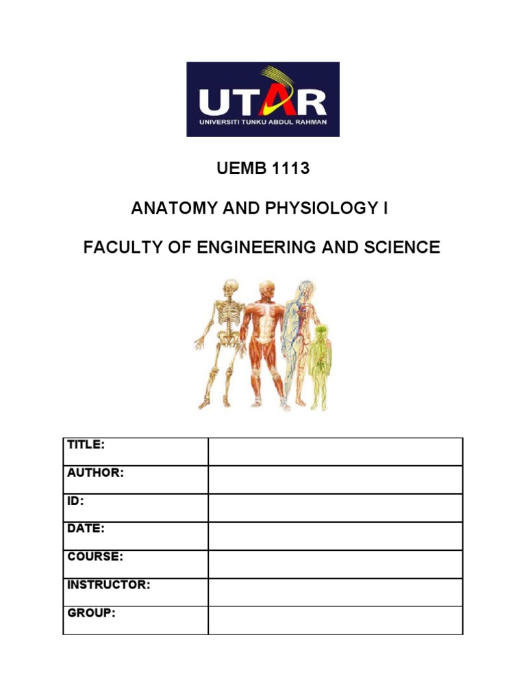 Report - Cover 2011 Anatomy I | PDF
