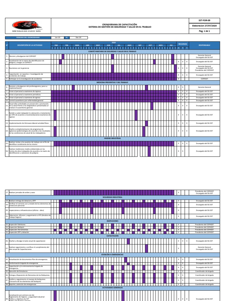 Cronograma de Seguridad y Salud 2020 | PDF | Médico de atención ...
