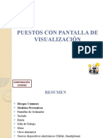PUESTOS CON PANTALLA DE VISUALIZACIÓN