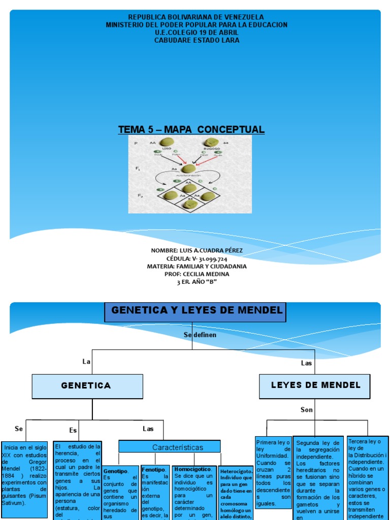 Mapa Conceptual de Genetica y Leyes de Mendel Tema 5 | PDF | Genética |  Ciencias de la vida