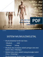 Anatomi Fisiologi Muskuloskeletal