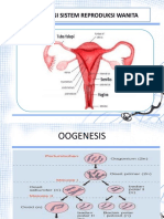 Fisiologi Sistem Reproduksi Wanita PDF