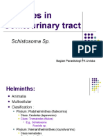 31032016 - Parasites in Genitourinary System (Ratna Dewi Indi Astuti, Dr., m.kes)
