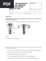 Teste CN 9ano Saude Sistemas Reprodutores Contracepcao