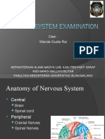 The Neurological Examination