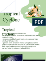 Tropical Cyclone