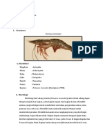 Arthropoda (Anida Khoirunnisa 1908086026)
